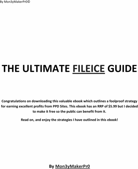 Product picture The ultimate fileice guide 